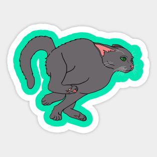 Racing Hyper Gray Cat Sticker